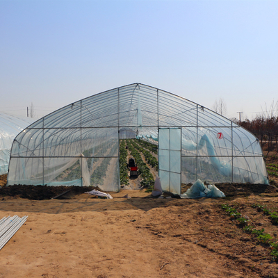 페퍼스 성장성을 위한 증가하는 터널 플라스틱 박막 온실을 경작하는 농업