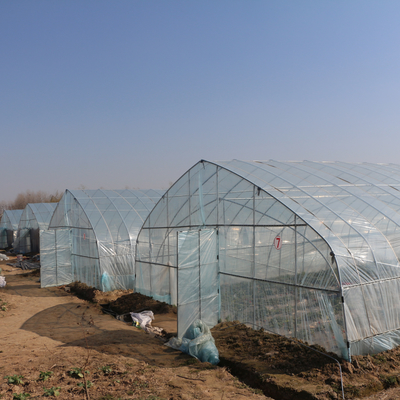 페퍼스 성장성을 위한 증가하는 터널 플라스틱 박막 온실을 경작하는 농업