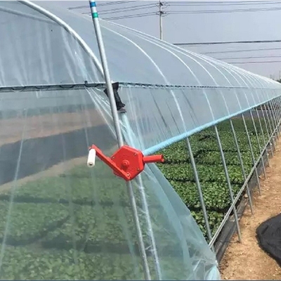 성장하는 딸기 이식을 위한 농업 한 개의 터널 플라스틱 박막 온실
