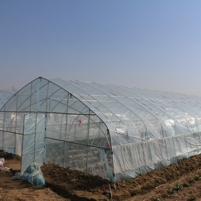 성장하는 딸기 이식을 위한 농업 한 개의 터널 플라스틱 박막 온실
