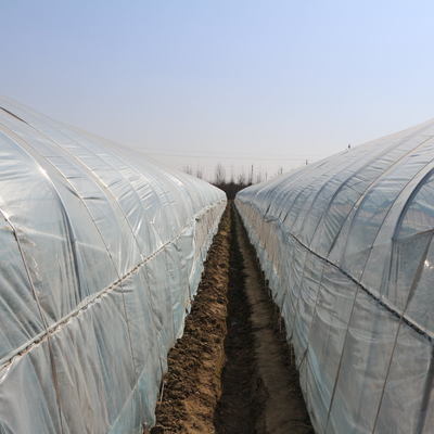 재배를 위해 투명한 주요한 야외 중국 터널 플라스틱 온실