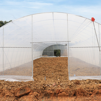 성장하는 발전소를 위한 터널 플라스틱 박막 상부 배기부 온실 Uv 단동
