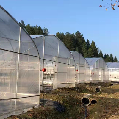 성장하는 농업용 작물을 위한 단동 플라스틱 박막 터널 온실