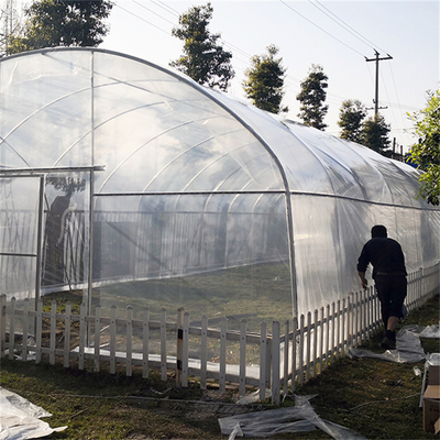 성장하는 농업용 작물을 위한 단동 플라스틱 박막 터널 온실