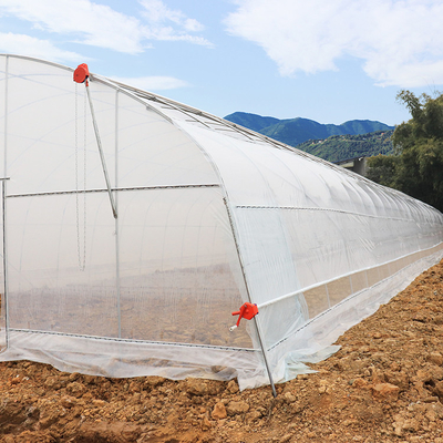 틈새 단동 8m 폭 폴리에틸렌 필름 온실을 커버하는 농업 플라스틱 박막