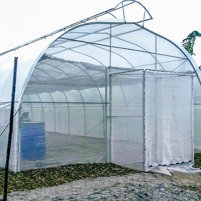 묘목 야채를 위한 농업 폴리에틸렌 필름 터널 온실