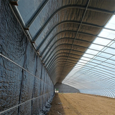 저방사능 구역 겨울 자연형 솔라 온실 플라스틱 박막 한 개의 터널