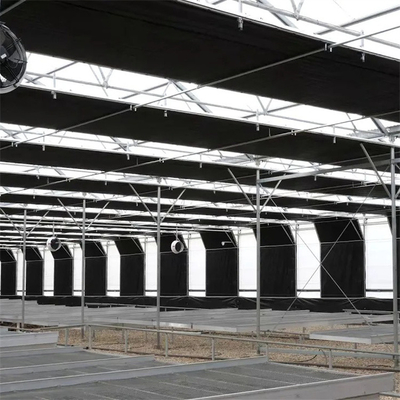 즉각적 프로젝트 미국 터널 자동 정전 온실 농업용 작물 성장성