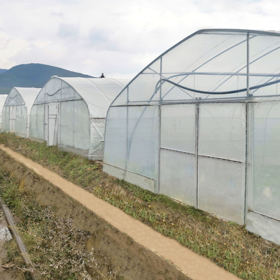 도매 온실 중국 공장도 가격 제조 싱글스펀 수경 농업 온실