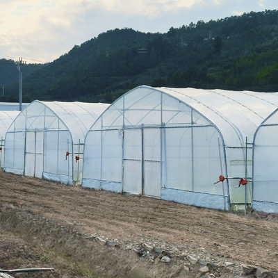 관수 시스템 생산적 단동온실 농업 그린 매가