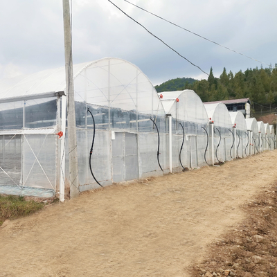 즉각적 프로젝트는 상업적 수경법 플라스틱 박막 유리 온실 다중 스팬 농업 온실가스를 설치했습니다