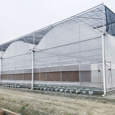 수경법 증가하는 시스템 온실 저비용 온실 농업 플라스틱 온실
