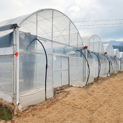 큰 크기 다중 스팬 주요한 플라스틱 박막 온실 고온 침지 아연도강 플라스틱 농업 온실