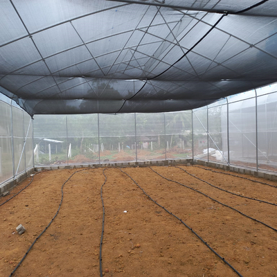 도시적 헤밍 톱니 농업 온실 플라스틱 애그리 온실 단동
