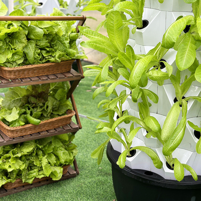 ABS PP Hydroponics 지속가능한 작물 생산을 위한 최고 수준의 관개 시스템