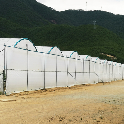 다발성 PE 필름 온실 6m-10m 과일 채소 너비