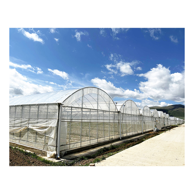 150마이크론 PE 필름과 함께 24x40m 단장 온실