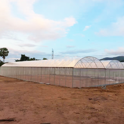 150마이크론 PE 필름과 함께 24x40m 단장 온실