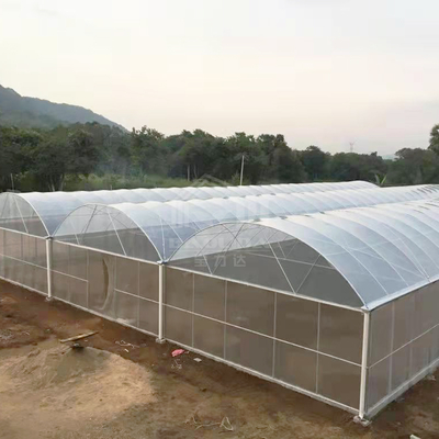 150마이크론 PE 필름과 함께 24x40m 단장 온실