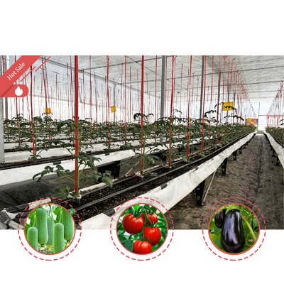 진열제철 프레임 온실 6m-12m Span 150/200micron PE 필름