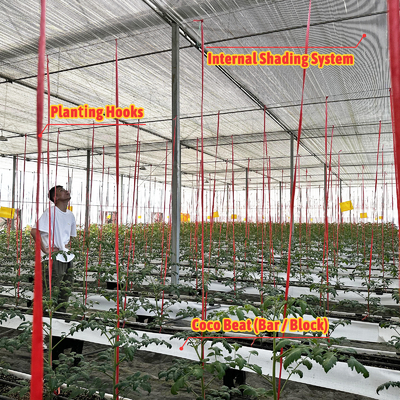 진열제철 프레임 온실 6m-12m Span 150/200micron PE 필름