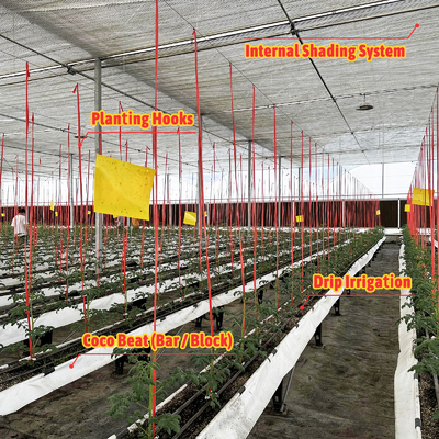 진열제철 프레임 온실 6m-12m Span 150/200micron PE 필름