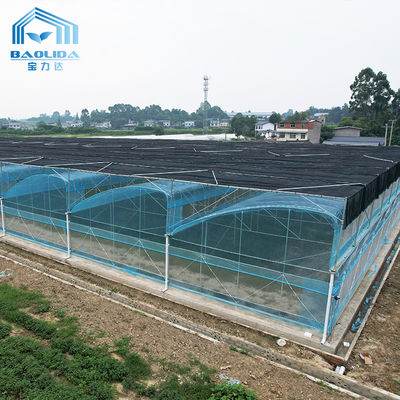 6m-12m 다중 스팬 PE 필름 온실 키트 (10년 보증)