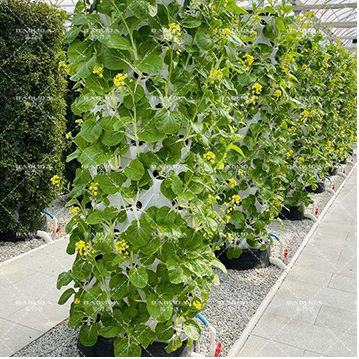 10 Layer 30L 80 Holes Farming Growing Towers Indoor Vertical Garden Hydroponic System