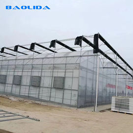 토마토 농업 다중 전폭을 위한 플라스틱 박막 온실을 커버하는 시트