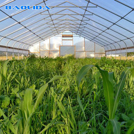 상업적인 온실을 시트로 덮는 농업 폴리에틸렌필름 폴리에틸렌 플라스틱