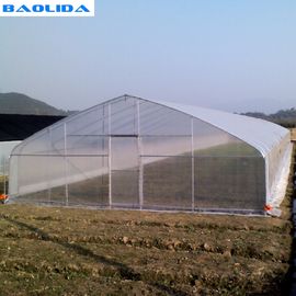 다양한 야채를 위한 농업 터널 폴리에틸렌 필름 온실 / 투명 플라스틱 온실