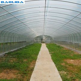 안정적인 구조 폴리에틸렌 필름 온실 / 야채 토마토 식물 온실