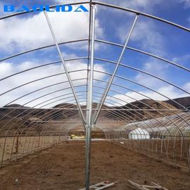 안정적인 구조 폴리에틸렌 필름 온실 / 야채 토마토 식물 온실