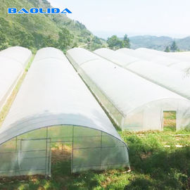 열대 터널 플라스틱 온실 / 주문 제작된 농업 온실