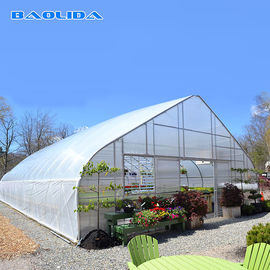 토마토 성장을 위한 농업 높은 테 텐트 온실가스 철골