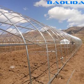 단동 플라스틱 터널 온실 / 방풍 폴리 온실 농업