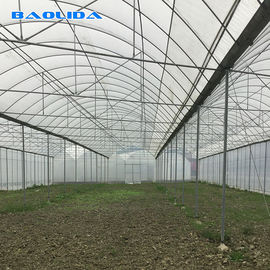 큰 크기 플라스틱 박막 온실 / 농업 온실 20m - 100m 롱