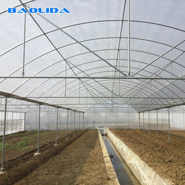 야채 농가 가축을 위한 다중 전폭 프레임 플라스틱 박막 온실