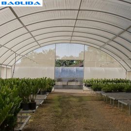 틈새 농업 8M 단동 높은 터널 온실을 커버하는 플라스틱 박막
