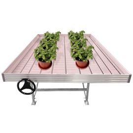 꽃을 위한 상업적인 온실 굴리기 벤치 / 온상 와이어 온실 벤치