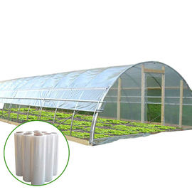 야채 성장시킨 플라스틱 박막 온실 / 터널 단동 온실