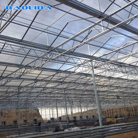맞춤화된 돔 지붕과 아름다운 다중 탄산염 시트 온실 플라스틱