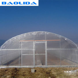 금속 온실 골격과 맞춘 좋은 안정성 터널 플라스틱 온실