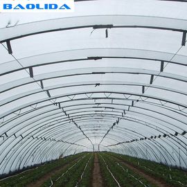 더블 아치는 두배로 농업 성장시킨 10X50m 단동 온실을 촬영합니다