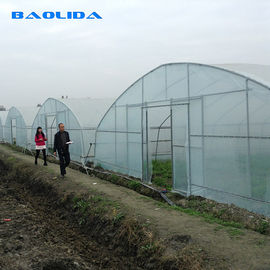 농업 표준 플라스틱 영화 8m 60m 폴리에틸렌필름 단동 온실을 설치하는 발전소