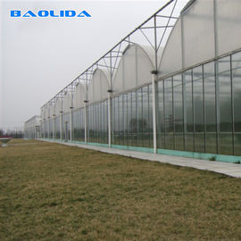 농업 플라스틱 박막 자동 9m 다중 전폭 온실을 설치하는 꽃