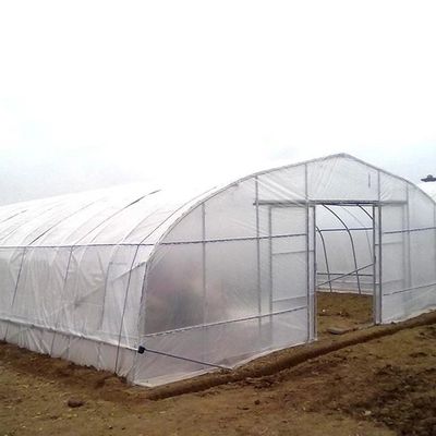 열대 농업 단동 터널 플라스틱 박막 폴리에틸렌 필름 온실