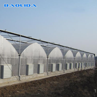 상부 / 측면 환기와 멀티스팬 온실 냉각 시스템을 성장시키는 농업 발전소