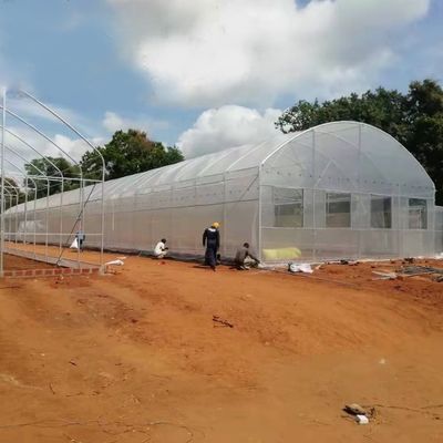 농작물을 위한 농업 상업적 산업적 12m 폭 반대 UV PE 플라스틱 박막 온실