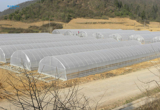 고온 침지 직류 전기로 자극된 분야 생태학적 농업 온실 플라스틱 박막 온실